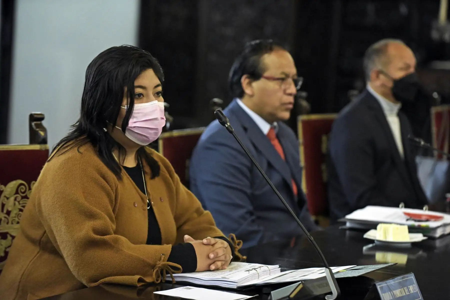 Foto: ANDINA/Prensa Presidencia.