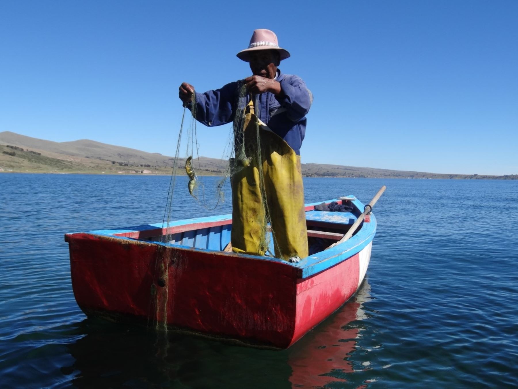Estudio advierte un agotamiento de los recursos pesqueros nativos del lago Titicaca, región Puno.