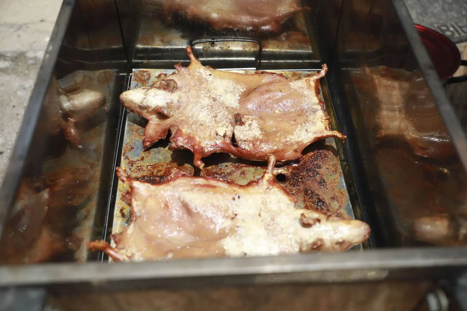 Por el Día Nacional del Cuy, la Dirección Regional de Agricultura Junín (DRAJ), realizó el Festival del Cuy con diversas actividades como el juzgamiento de animales menores, venta y exposición de animales vivos, concurso de Cuy Fashion y venta de platos típicos, que contó con la participación de productores de cuyes de la región Junín. Foto: Difusión