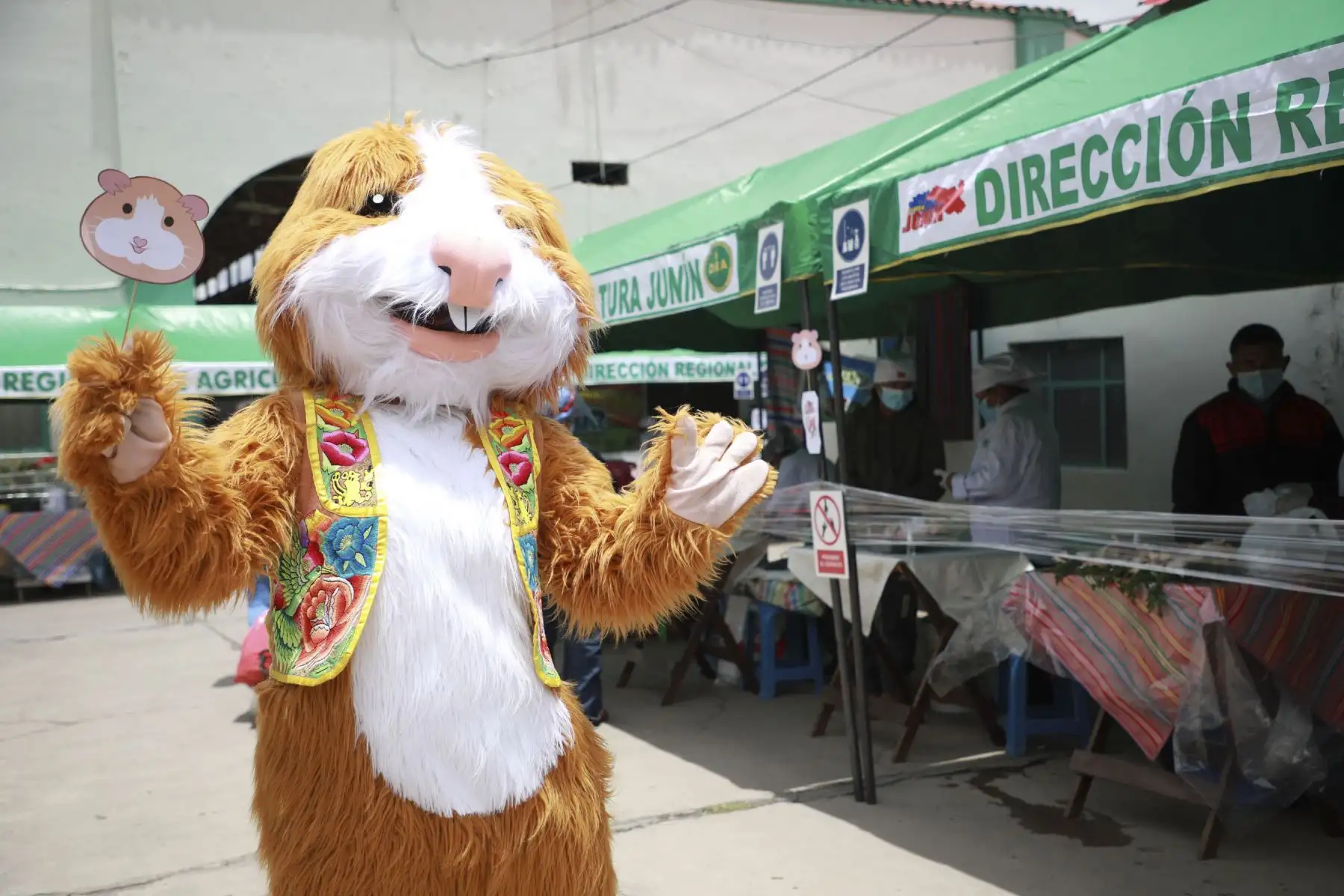 Por el Día Nacional del Cuy, la Dirección Regional de Agricultura Junín (DRAJ), realizó el Festival del Cuy con diversas actividades como el juzgamiento de animales menores, venta y exposición de animales vivos, concurso de Cuy Fashion y venta de platos típicos, que contó con la participación de productores de cuyes de la región Junín. Foto: Difusión