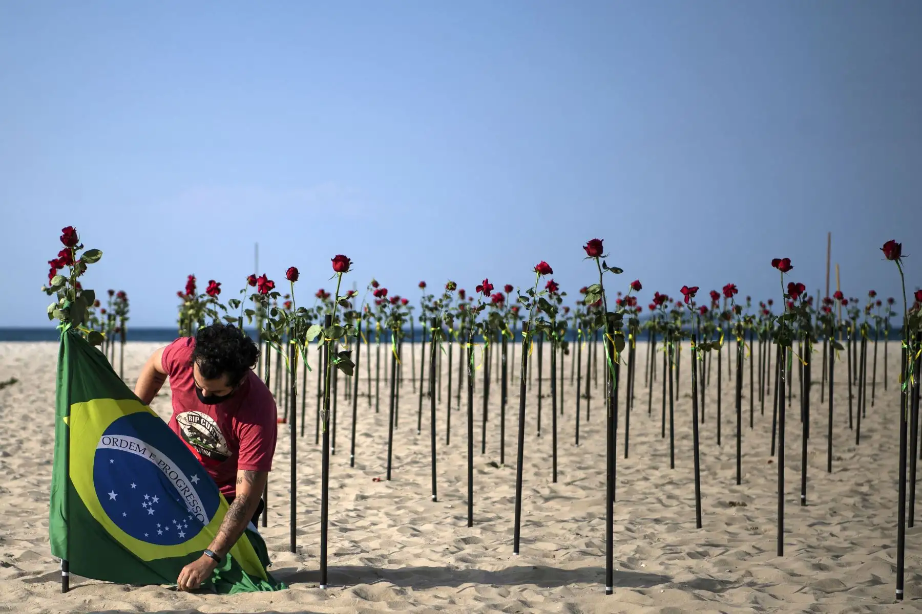 Un manifestante asegura una bandera brasileña junto a rosas colocadas por la ONG Río de Paz en la playa de Copacabana, Río de Janeiro. Foto: AFP