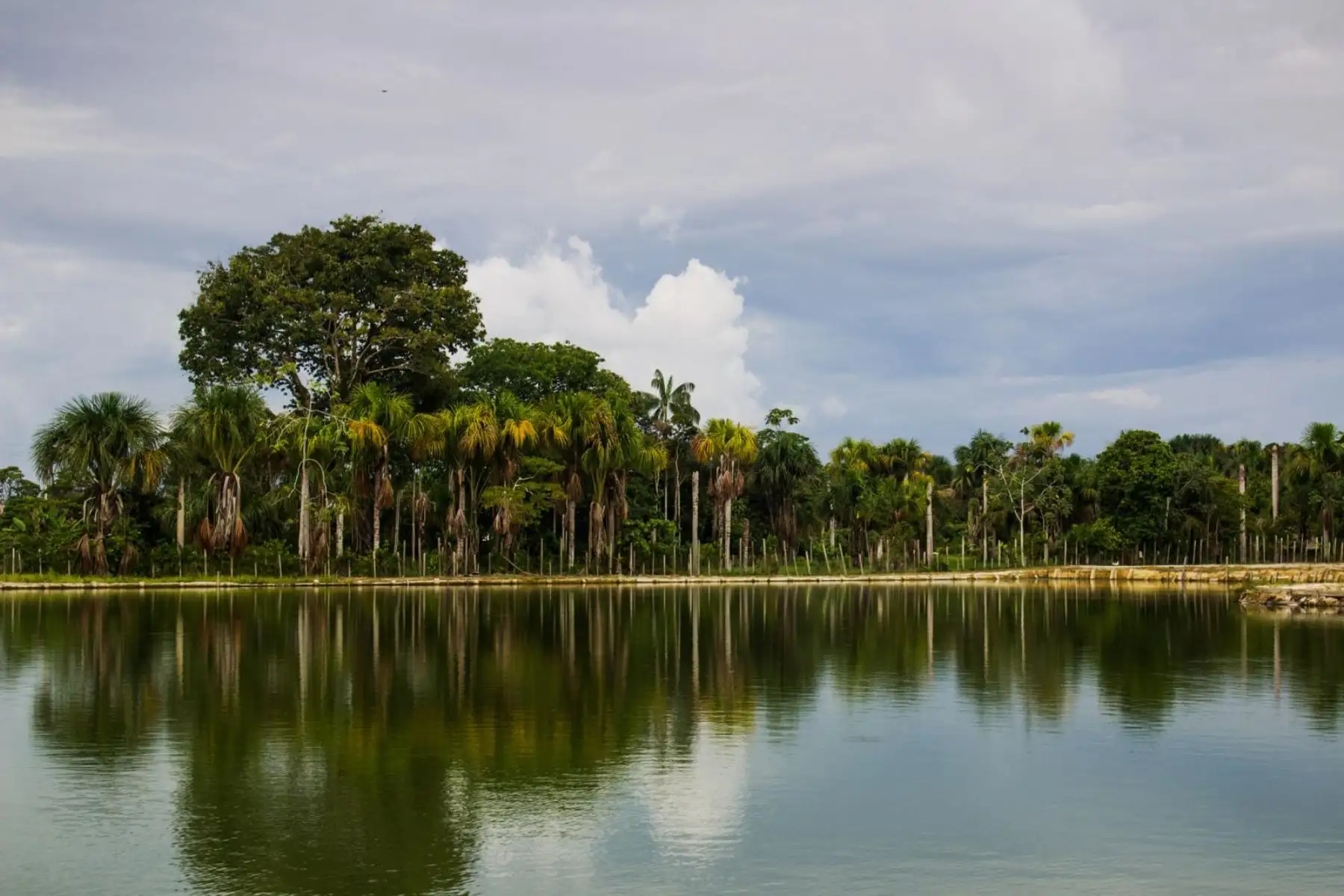 La Comisión de Promoción del Perú para la Exportación y el Turismo (PROMPERÚ) se complace en anunciar que nuestro país ha sido nominado en seis categorías para la edición global de este año de los World Travel Awards (WTA). Destino culinario líder en el mundo, Destino cultural líder en el mundo, Destino verde líder en el mundo, Atracción turística líder en el mundo, Destino de cruceros líder en el mundo y Oficina de turismo líder en el mundo. Foto: Promperú La Comisión de Promoción del Perú para la Exportación y el Turismo (PROMPERÚ) se complace en anunciar que nuestro país ha sido nominado en seis categorías para la edición global de este año de los World Travel Awards (WTA). Destino culinario líder en el mundo, Destino cultural líder en el mundo, Destino verde líder en el mundo, Atracción turística líder en el mundo, Destino de cruceros líder en el mundo y Oficina de turismo líder en el mundo. Foto: Promperú