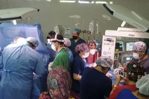 La intervención quirúrgica en el Hospital Goyeneche está a cargo de 24 médicos especialistas. Foto: ANDINA/Hospital Goyeneche