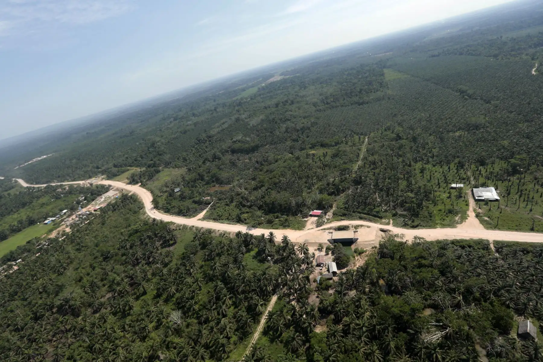 El presidente de la República, Pedro Castillo, inspeccionó el tramo de la carretera Curimaná - Neshuya así como campos de cultivos de la provincia Padre Abad, en su visita a la región Ucayali. Foto: ANDINAPrensa Presidencia