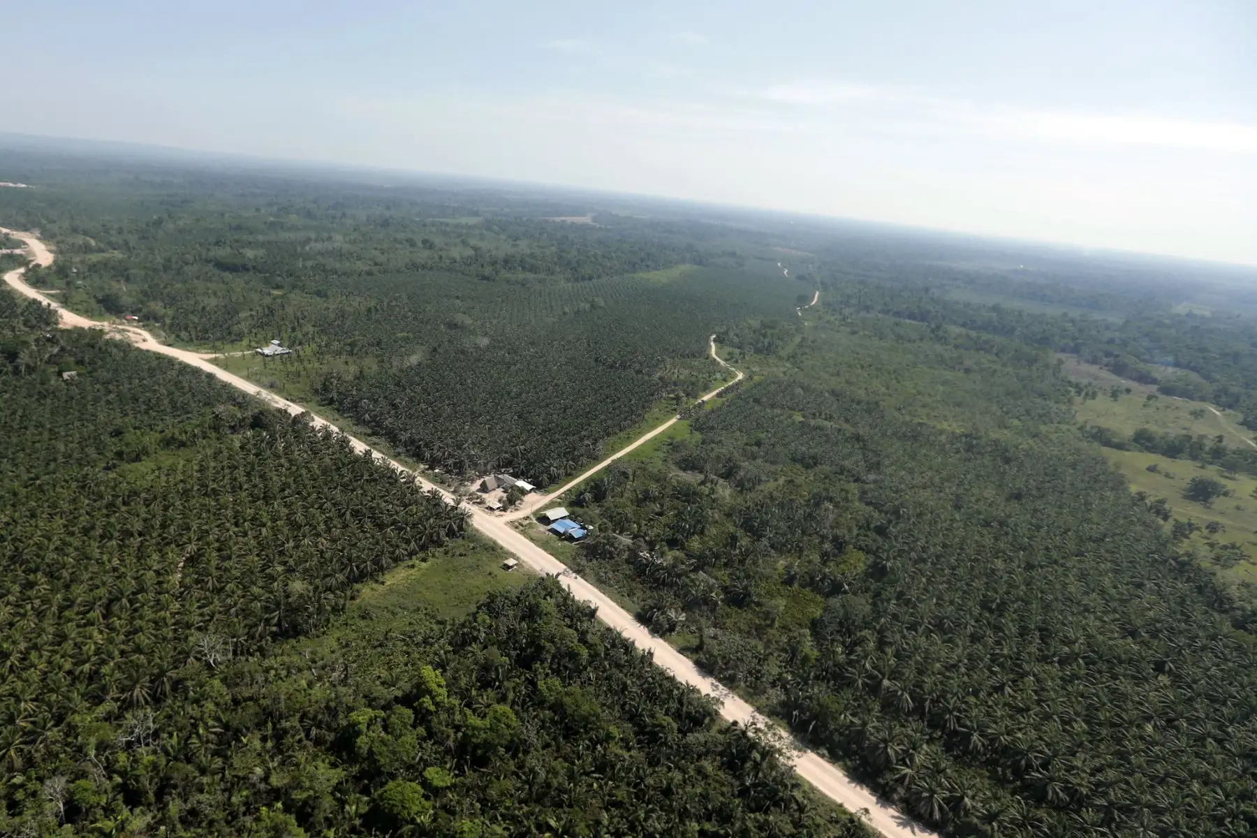 El presidente de la República, Pedro Castillo, inspeccionó el tramo de la carretera Curimaná - Neshuya así como campos de cultivos de la provincia Padre Abad, en su visita a la región Ucayali. Foto: ANDINAPrensa Presidencia