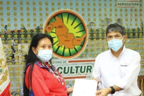 Sunarp capacitó a mujeres emprendedoras nativas de Pucallpa para formalizar sus negocios. Foto: Sunarp