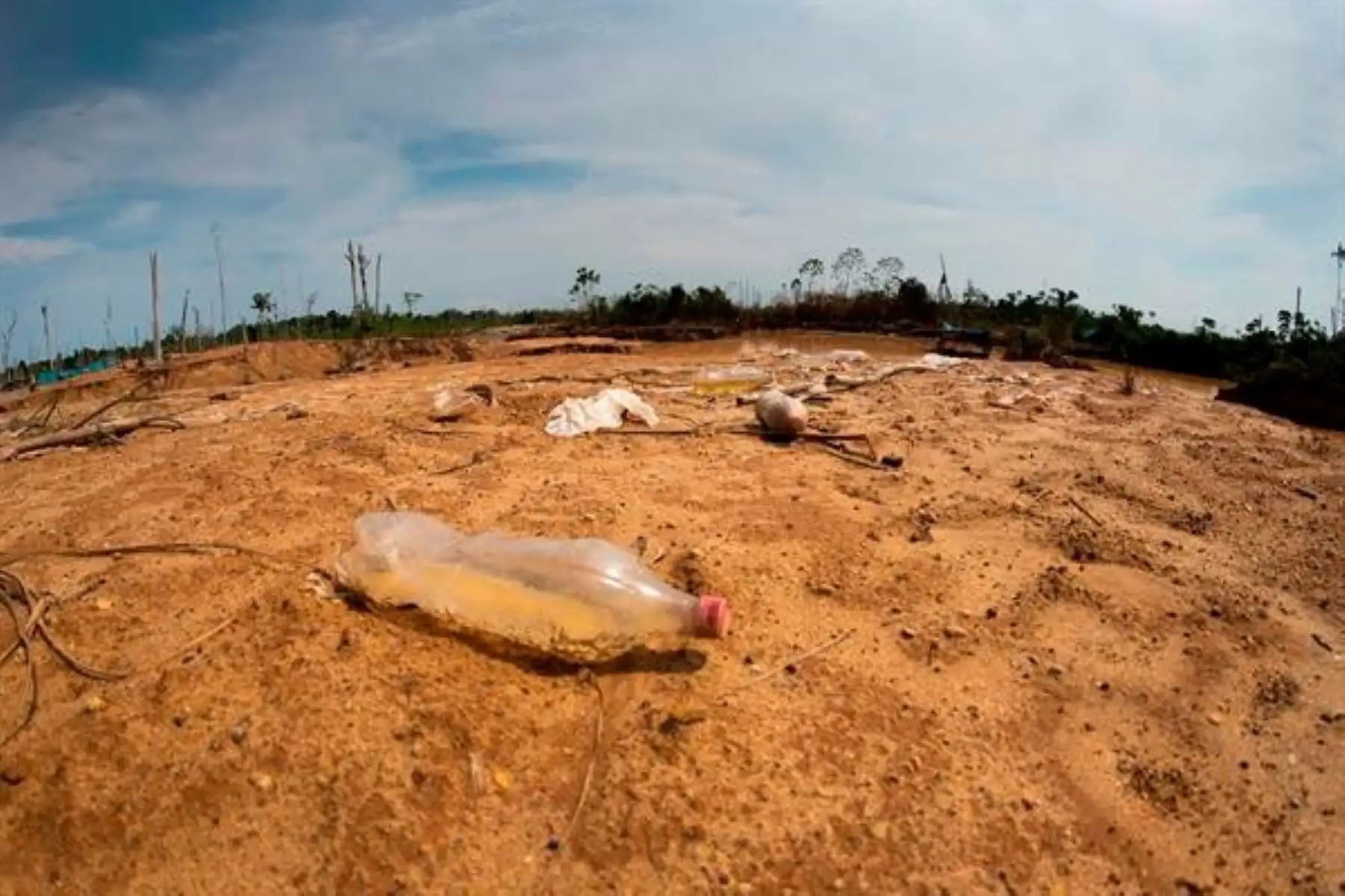 La deforestación que sufre la Amazonía, por la tala y minería ilegal, podría conducir a la desaparición de este vital ecosistema. EFE