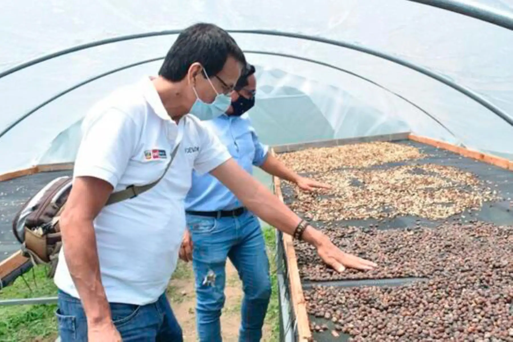Devida invirtió un millón de soles para la implementación del proyecto, que contó con la contrapartida de 200,000 soles de la municipalidad provincial de Chanchamayo. Foto: ANDINA/Devida