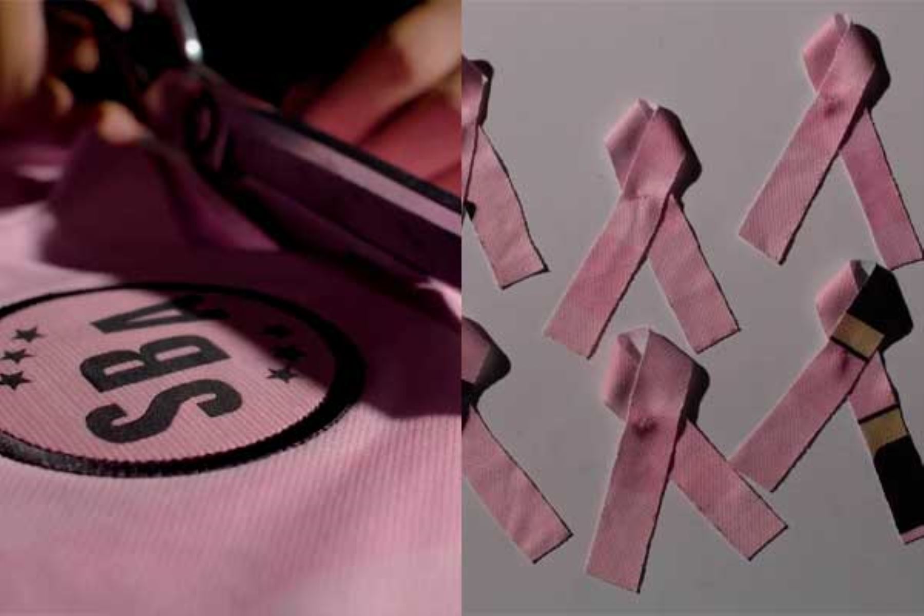 El club usará su uniforme alterno de color morado, pues, en lucha contra este tipo de cáncer, ha donado el sagrado rosado de sus camisetas para convertirlas en lazos rosa. Composición: ANDINA