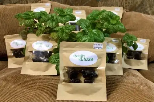 “Gomishuro” es un complemento alimenticio en forma de gomita, de rico sabor frutado y con altos valores nutricionales provenientes del cushuro (alga milenaria). Además, está fortificada con hierro hemínico, convirtiéndose en un gran aliado para prevenir la anemia. Foto: Cortesía