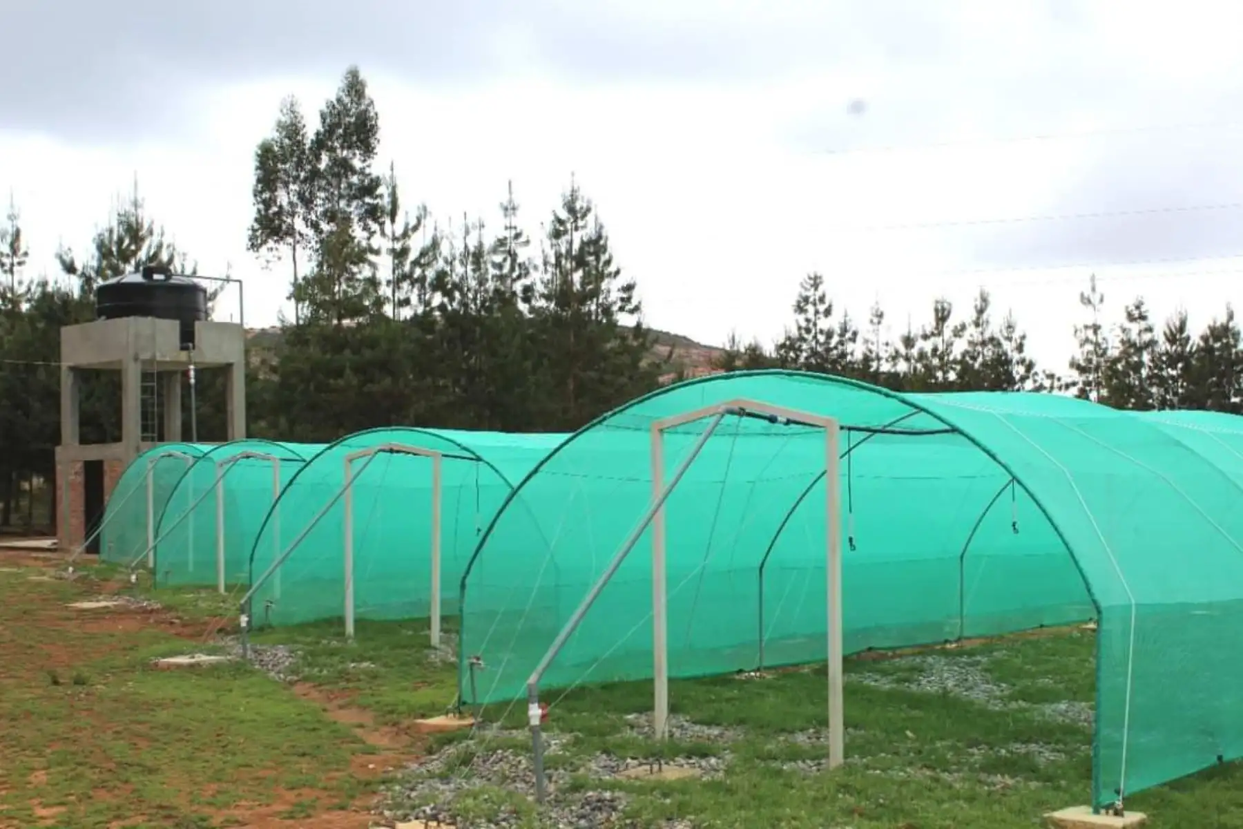 Trabajo conjunto: Región Lambayeque entregó a Cajamarca moderno vivero forestal