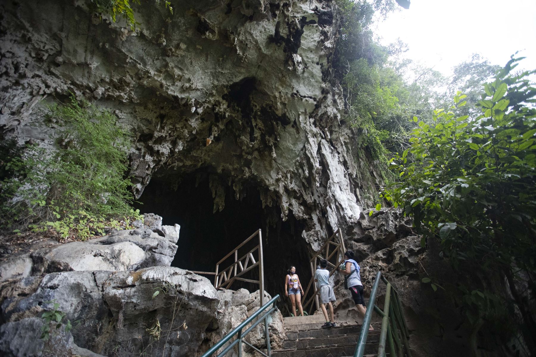 Parque Nacional de Tingo María, zona turística de la cueva de las lechuzas. Foto: ANDINA/Carla Patiño