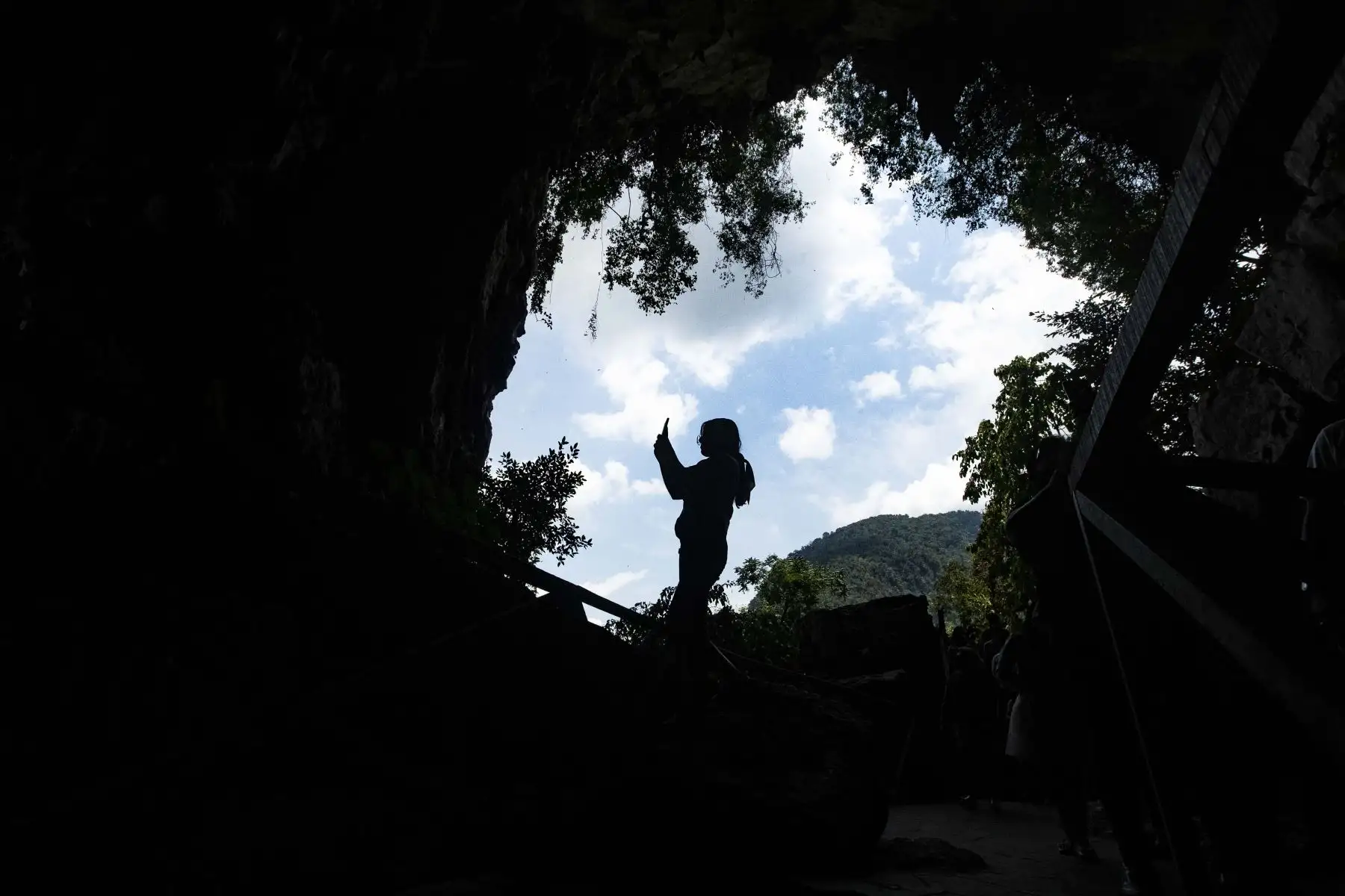 Parque Nacional de Tingo María, zona turística de la cueva de las lechuzas. Foto: ANDINA/Carla Patiño