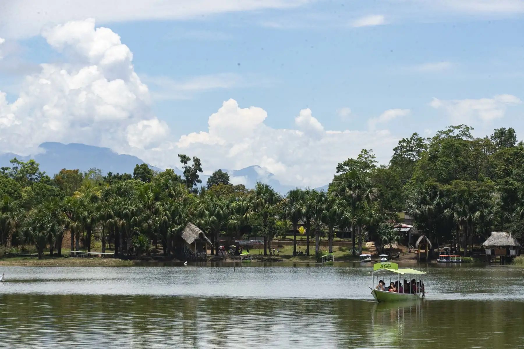 Laguna de los Milagros, Boquerón de Padre Abad (región Ucayali). Visita a la caída de Agua Velo de la Novia. Foto: ANDINA/Carla Patiño
