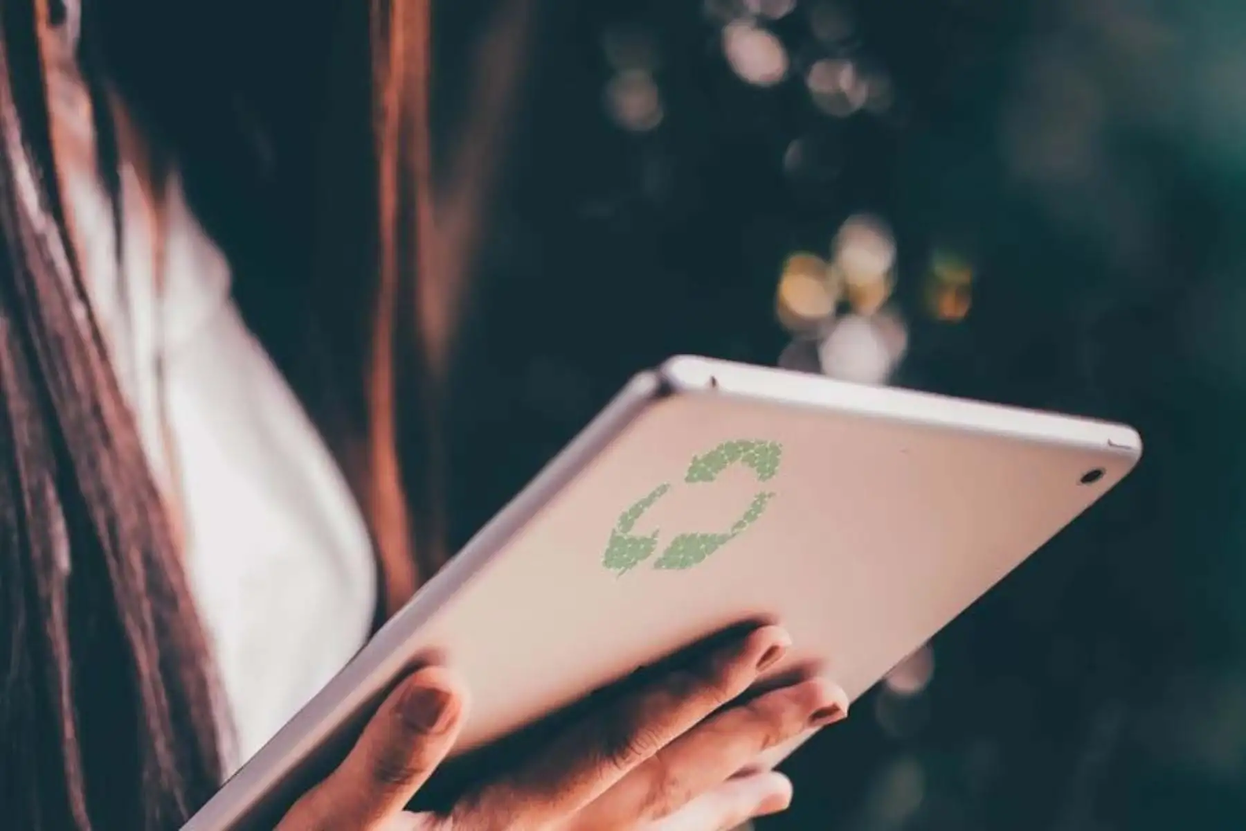 eGreens funcionará como parte del sistema de monitoreo para advertir al usuario que sus vegetales están listos para ser cosechados.