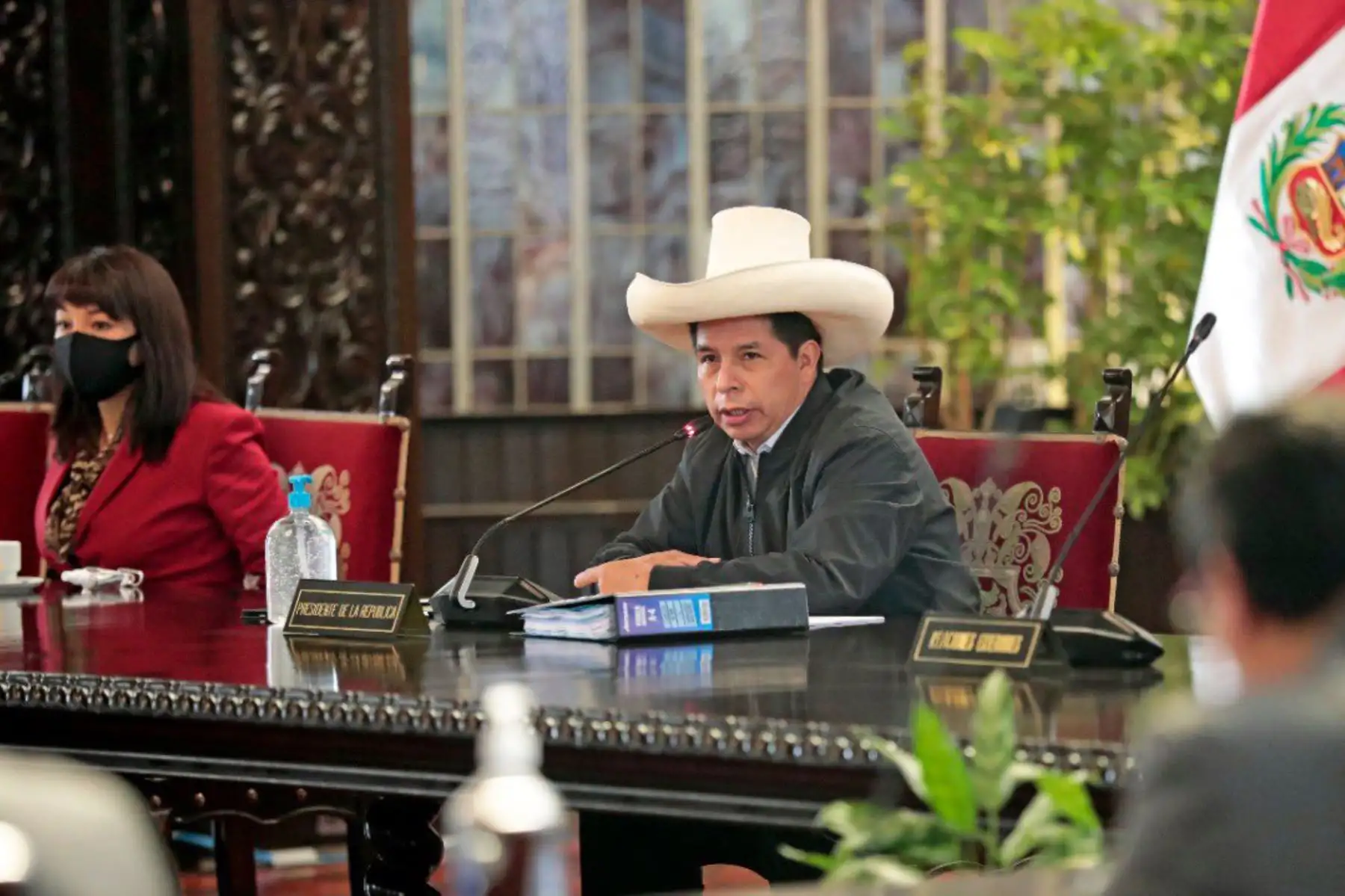 Foto: ANDINA/Prensa Presidencia.