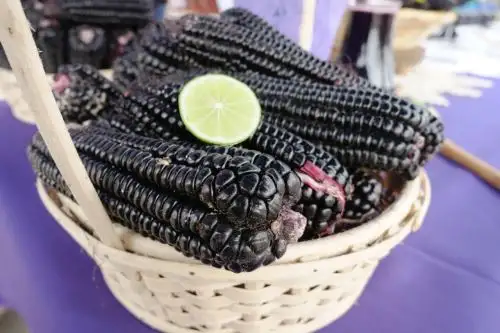 Cada 5 de mayo, el Perú celebra el "Día Nacional del Maíz Morado, Maíz Choclo y maíces para cancha".ANDINA/Difusión