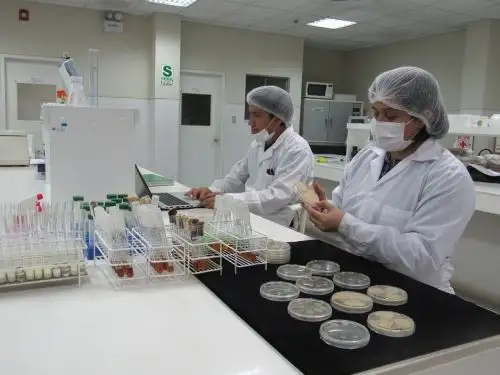 La Semana de la I+D+i+e 2021 se llevará a cabo desde el 25 al 29 de octubre. Será gratuito y transmitido de 9:00 am a 4:00 pm por sus redes sociales de Facebook y SemanaInv-UNALM de YouTube. Foto: Cortesía