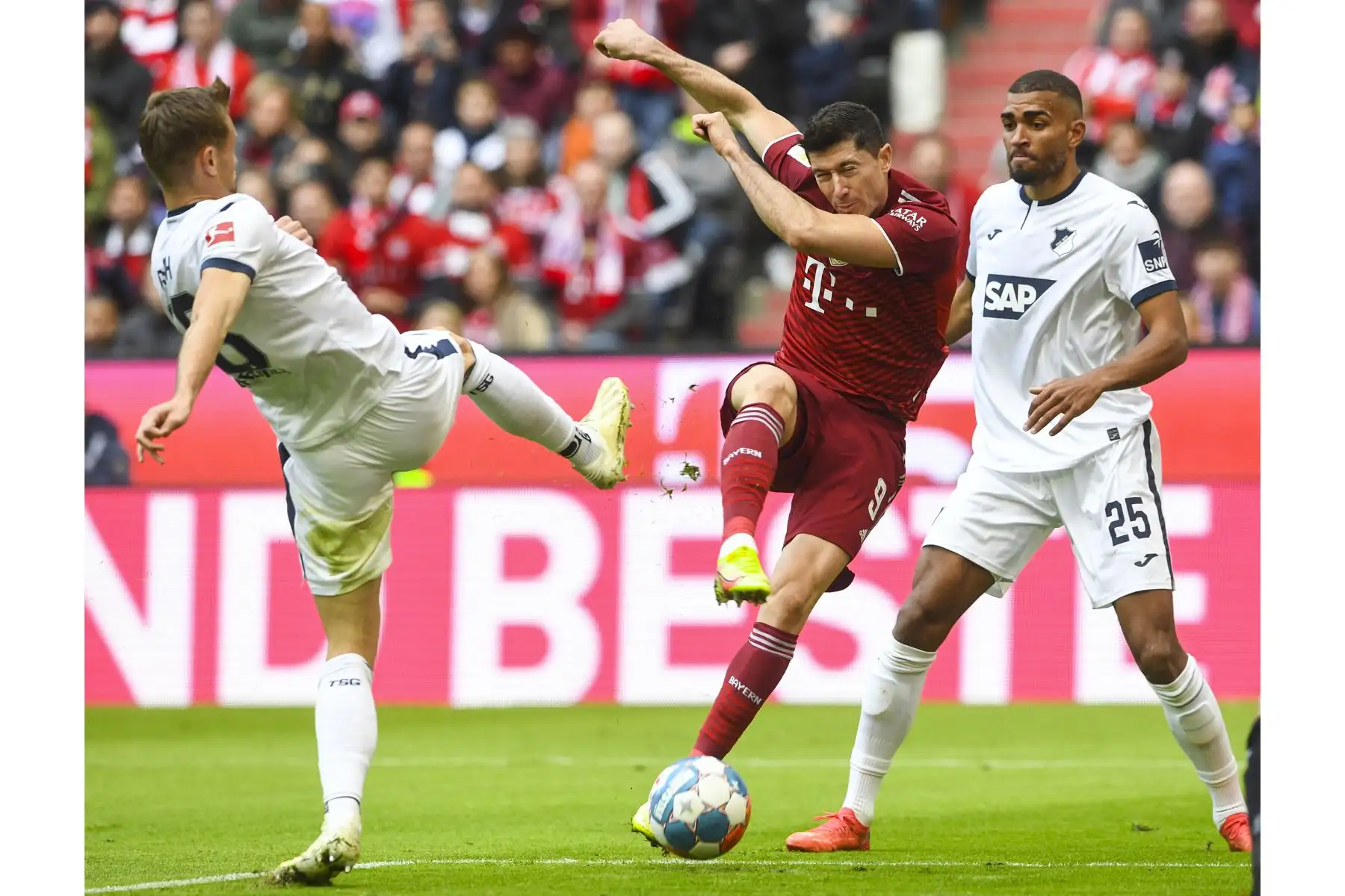 El defensor austríaco del Hoffenheim, Stefan Posch y el delantero polaco del Bayern Múnich, Robert Lewandowski, compiten por el balón durante el partido de la Bundesliga. Foto: AFP
