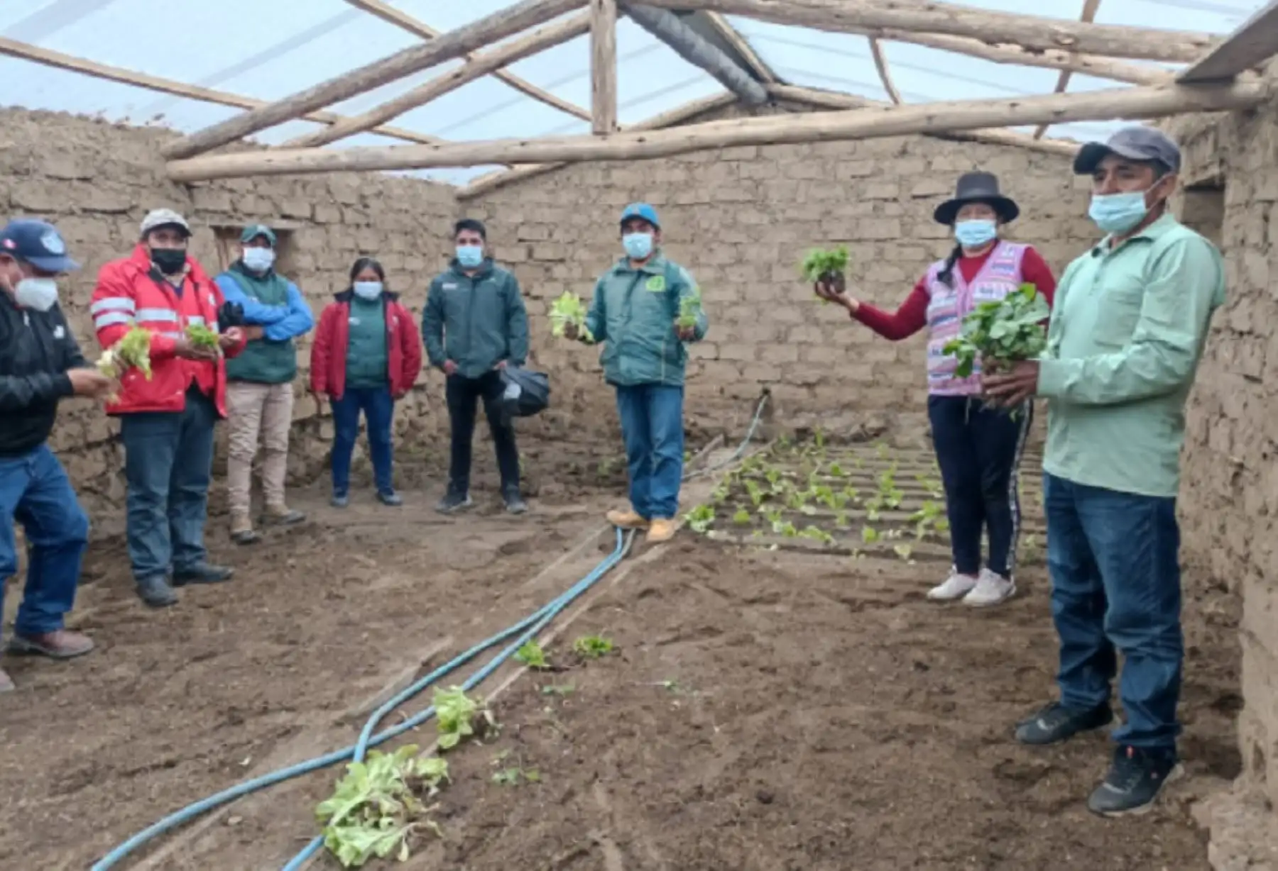 Un total de 25 familias agricultoras de los distritos de Huachos, Aurahua y Arma de la provincia de Castrovirreyna, en la región Huancavelica, ampliarán la producción de alimentos gracias a la implementación de 25 fitotoldos en las comunidades campesinas locales ubicadas por encima de los 3,300 metros sobre el nivel del mar.