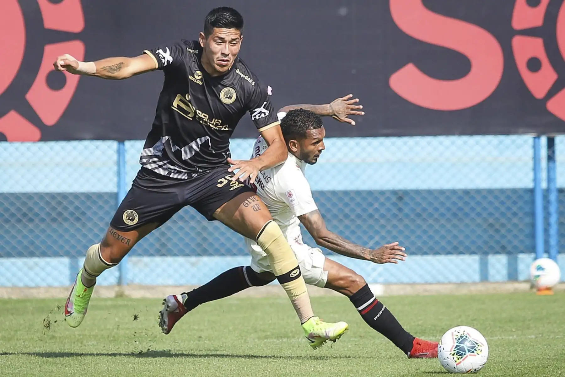 Universitario enfrenta a Cusco F.C en el estadio Alberto gallardo por la Fase 2 de la Liga 1. Foto: FPF