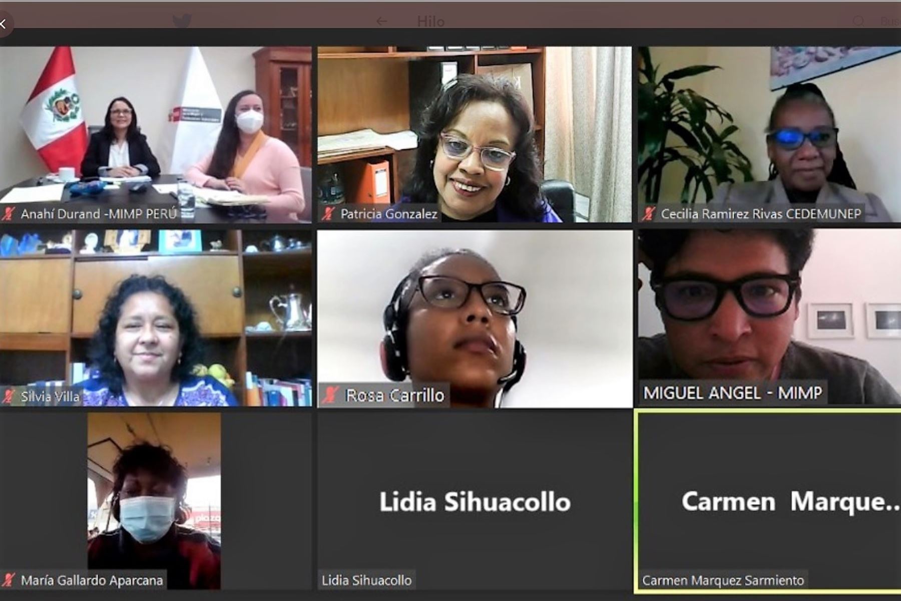 Reunión virtual de la ministra Anahí Durand (MIMP) con representantes de la Mesa de Trabajo Mujer Afroperuana.