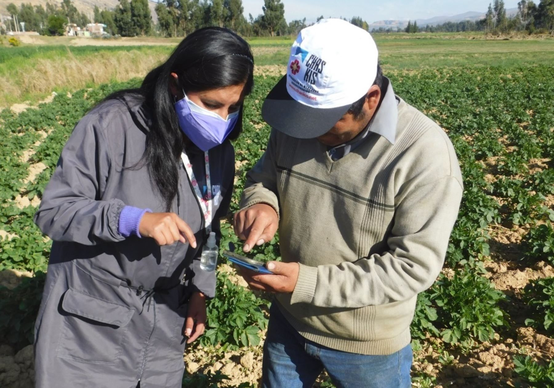 Junín: agricultores logran mejores precios para sus productos con apoyo del Midagri