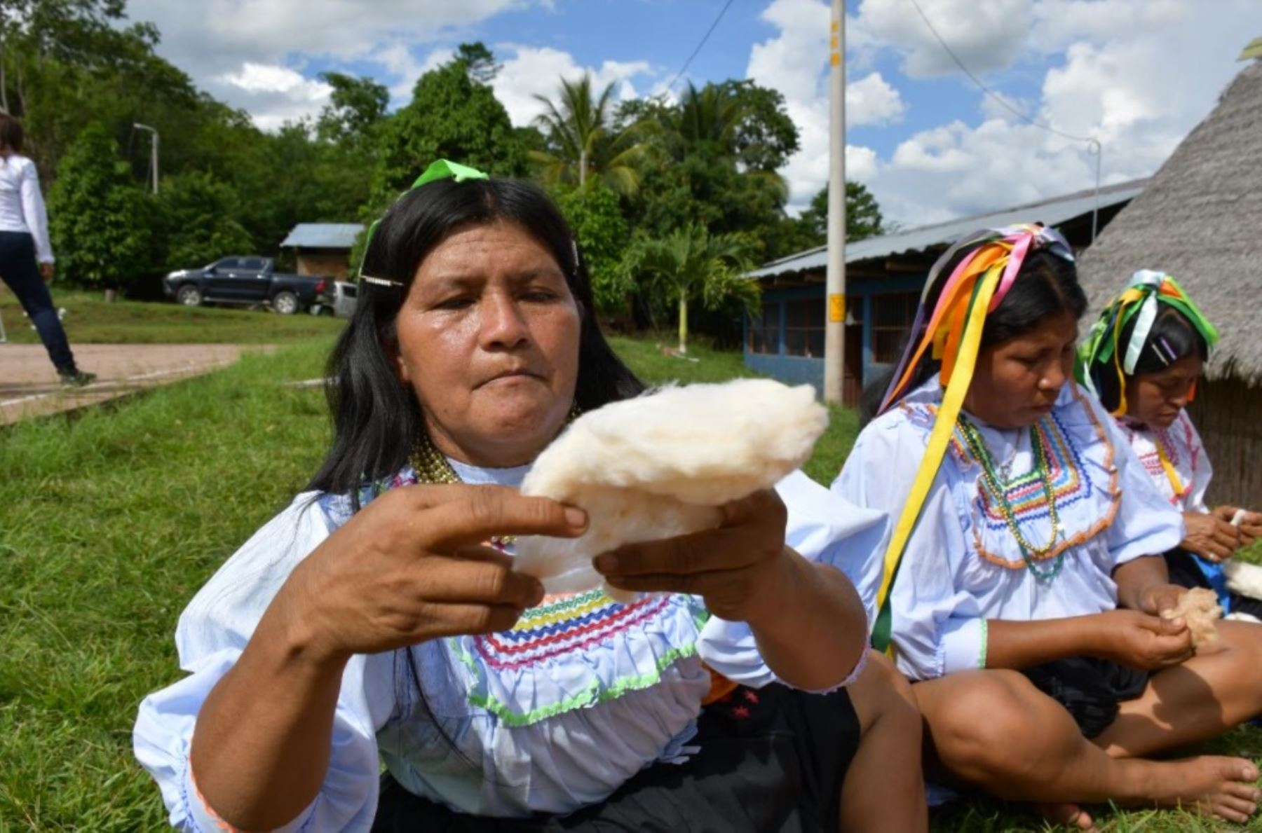 San Martín: comunidades de Lamas lanzan emprendimientos basados en el manejo del algodón