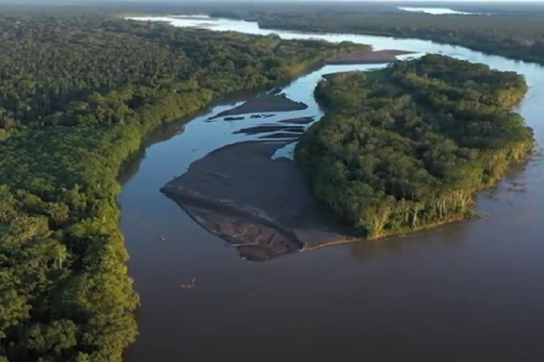 Gracias al trabajo conjunto entre representantes de once gobiernos regionales y de cuatro entidades gubernamentales, se han elaborado hojas de ruta con acciones que se realizarán a partir de 2023 para conservar más de 67 millones de hectáreas de bosques amazónicos, con el uso oportuno de información sobre monitoreo de bosques. ANDINA/Difusión