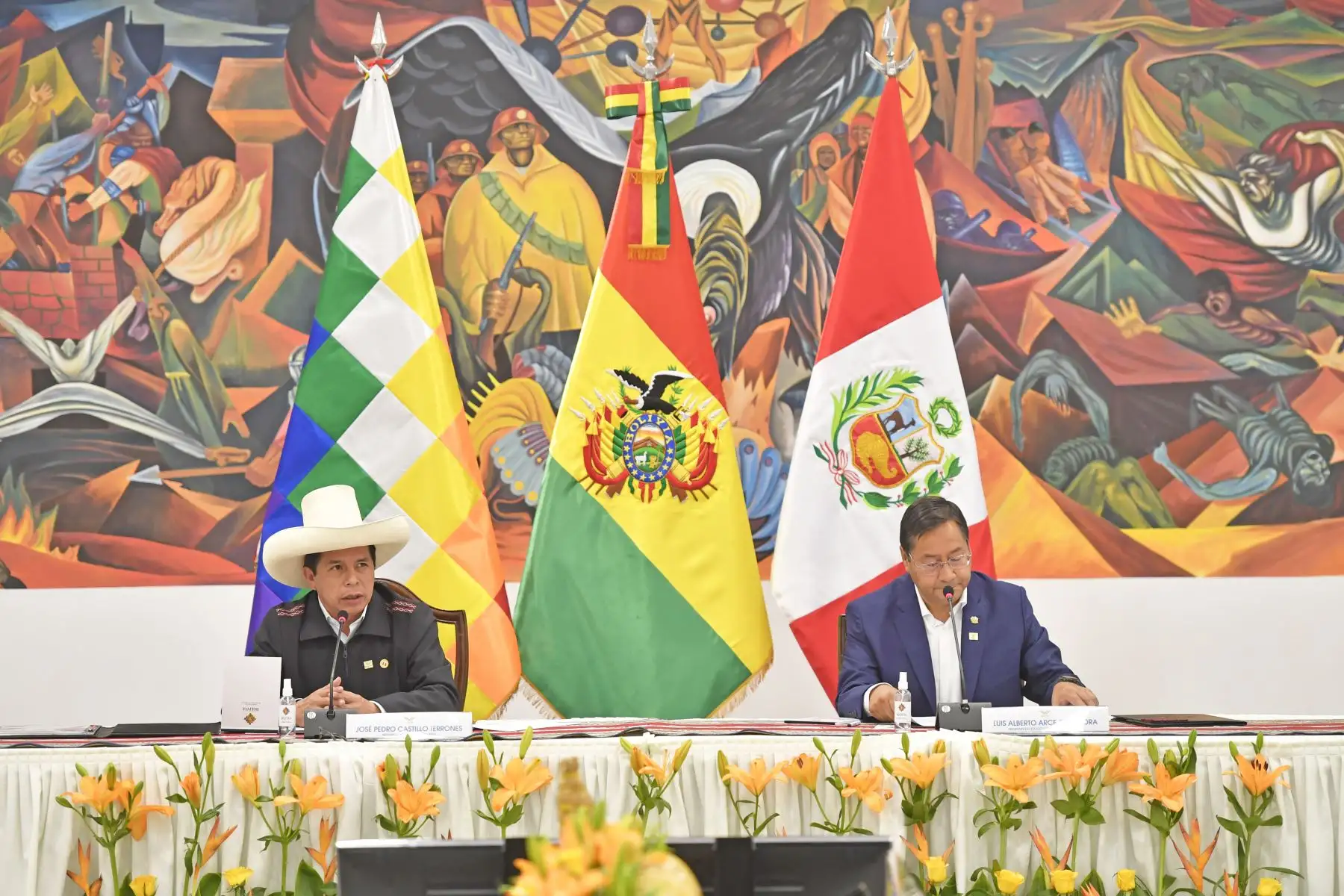 Foto: ANDINA/Prensa Presidencia.