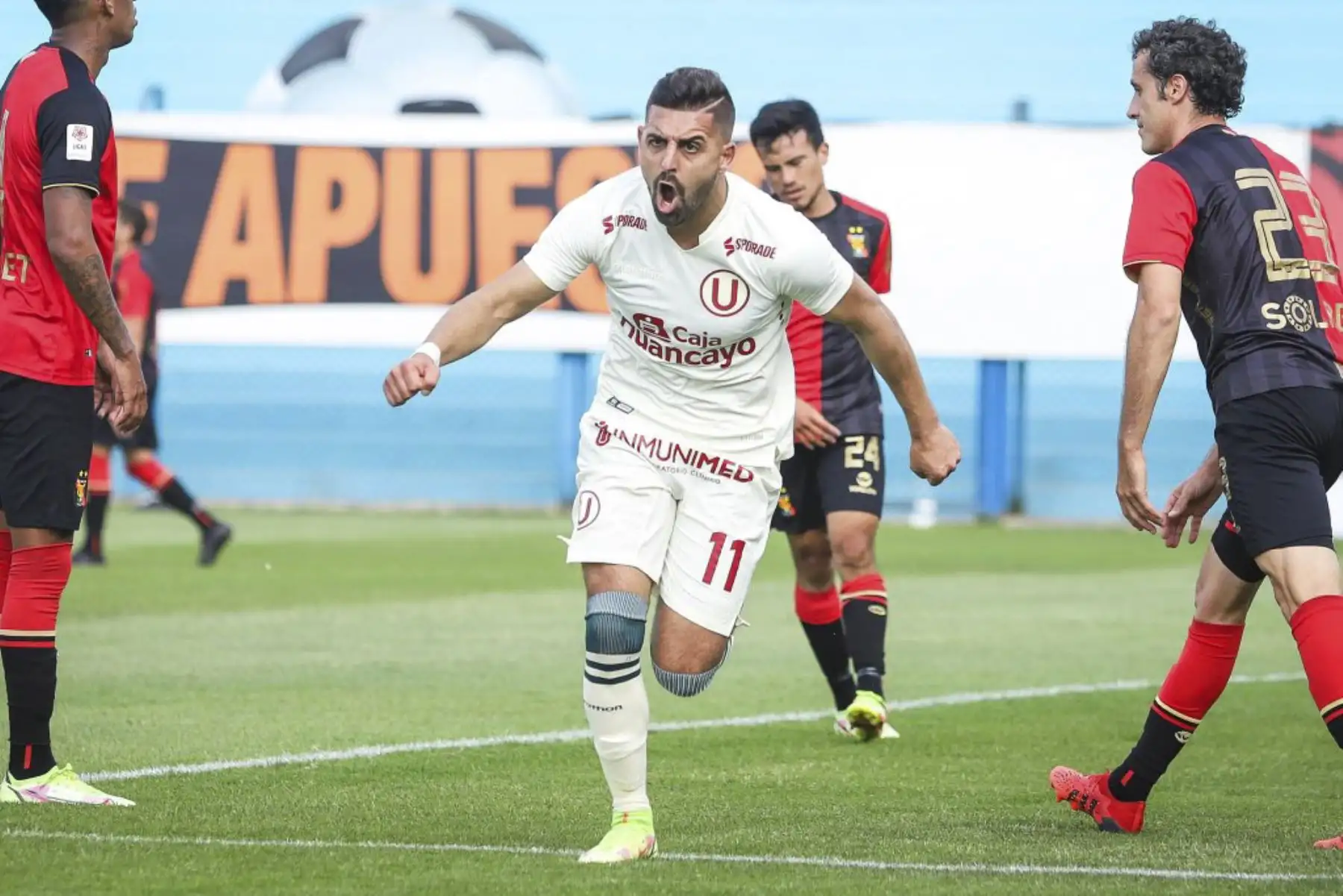 Universitario se enfrenta a Melgar por la última fecha de la Liga 1. Foto: FPF