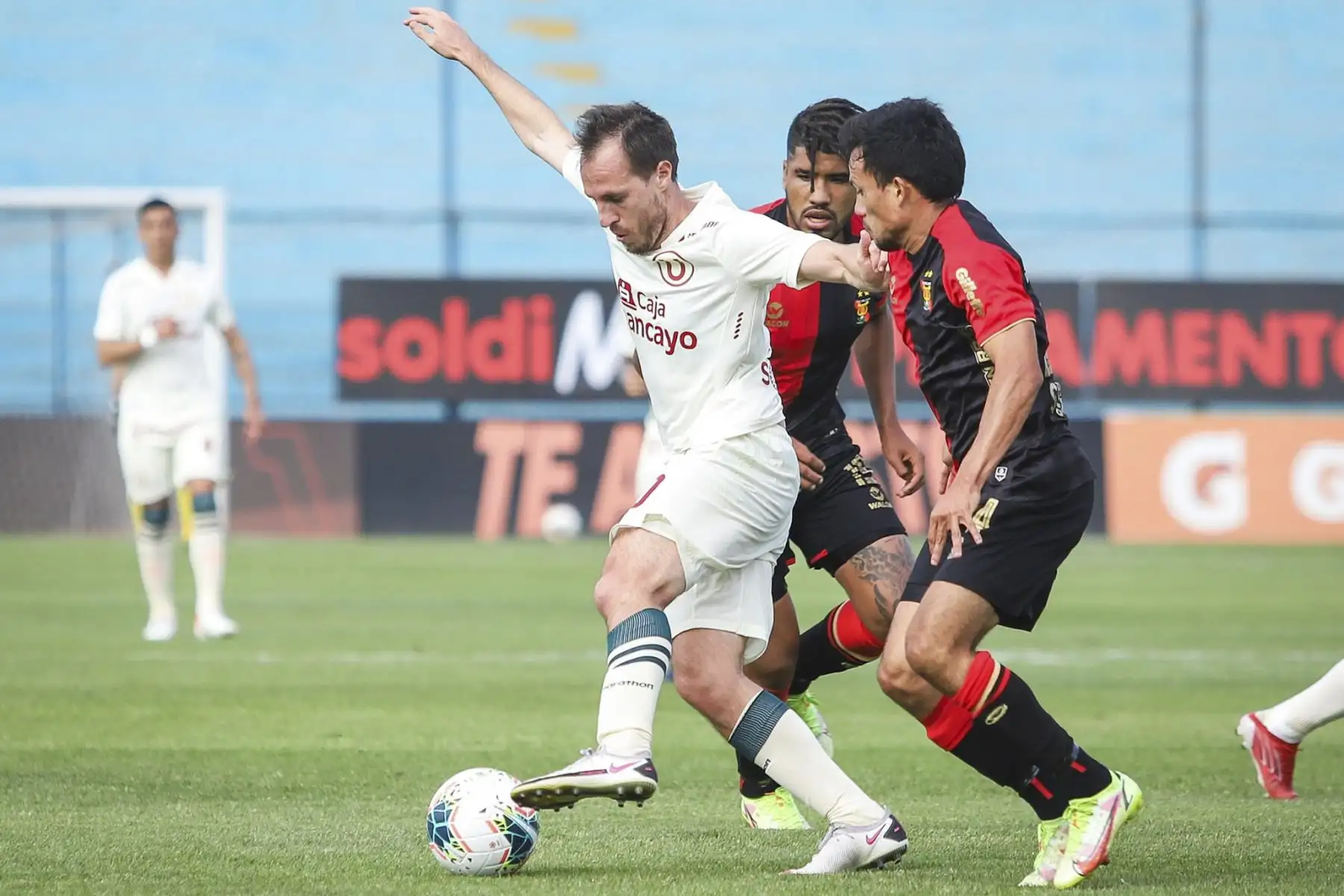 Universitario se enfrenta a Melgar por la última fecha de la Liga 1. Foto: FPF