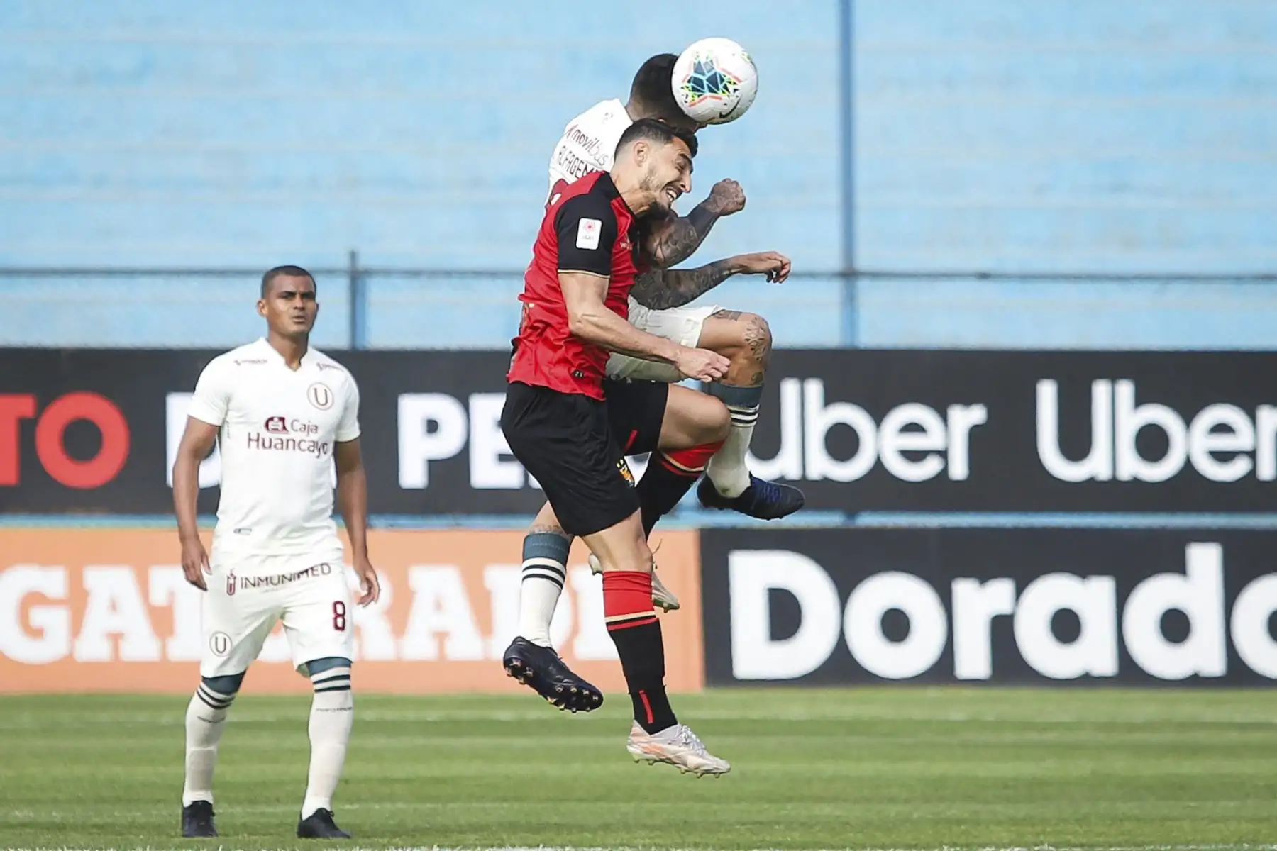 Universitario se enfrenta a Melgar por la última fecha de la Liga 1. Foto: FPF