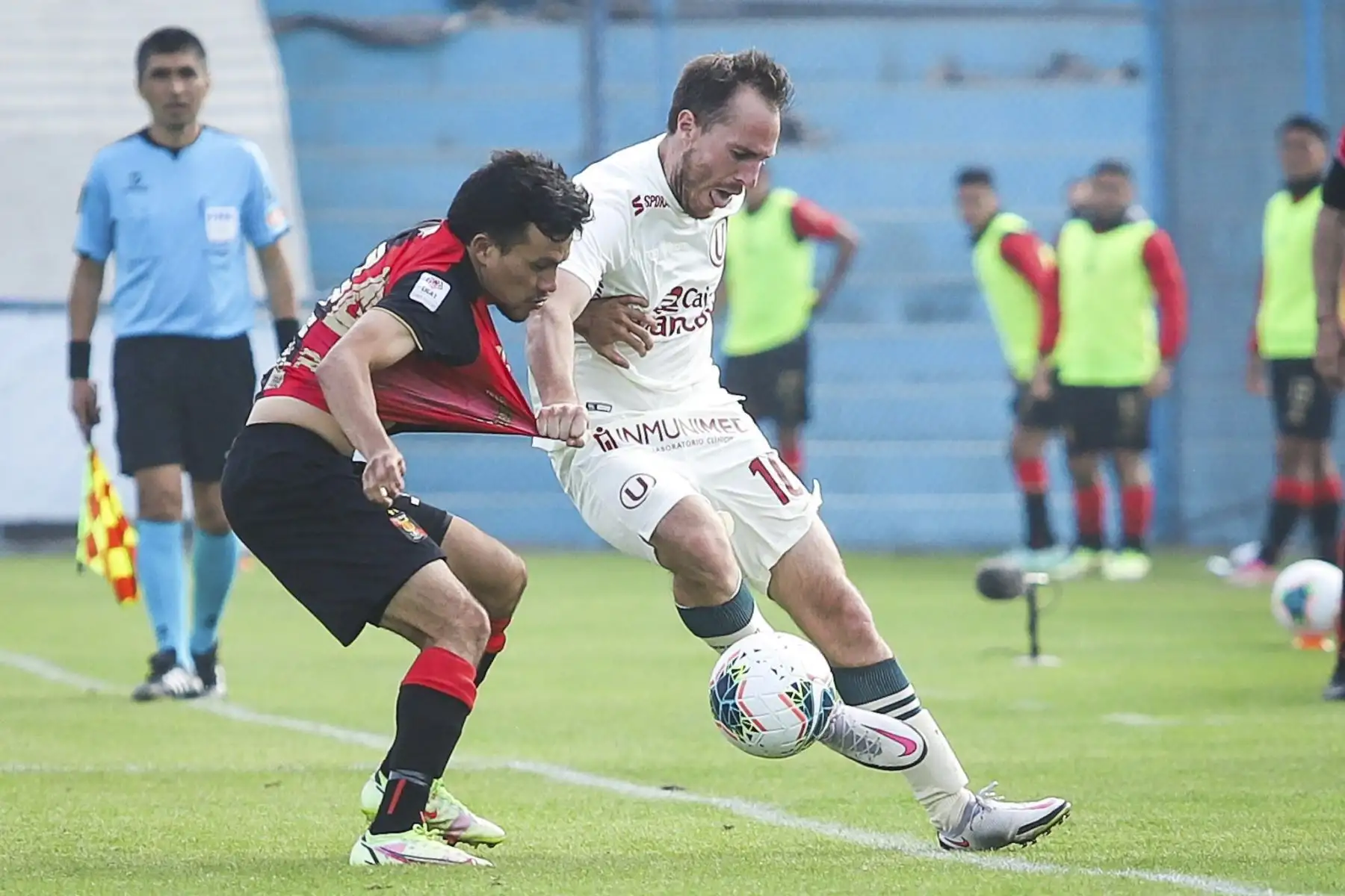 Universitario se enfrenta a Melgar por la última fecha de la Liga 1. Foto: FPF