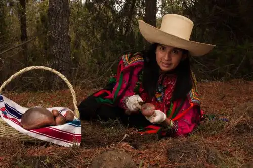 Margaret Manayay es bióloga agrícola y parte de un equipo que desarrolla investigaciones para crear variedades de hongos comestibles que mujeres del caserío ¨Piedra Parada extraen para comercializarlos. ANDINA/ Andina