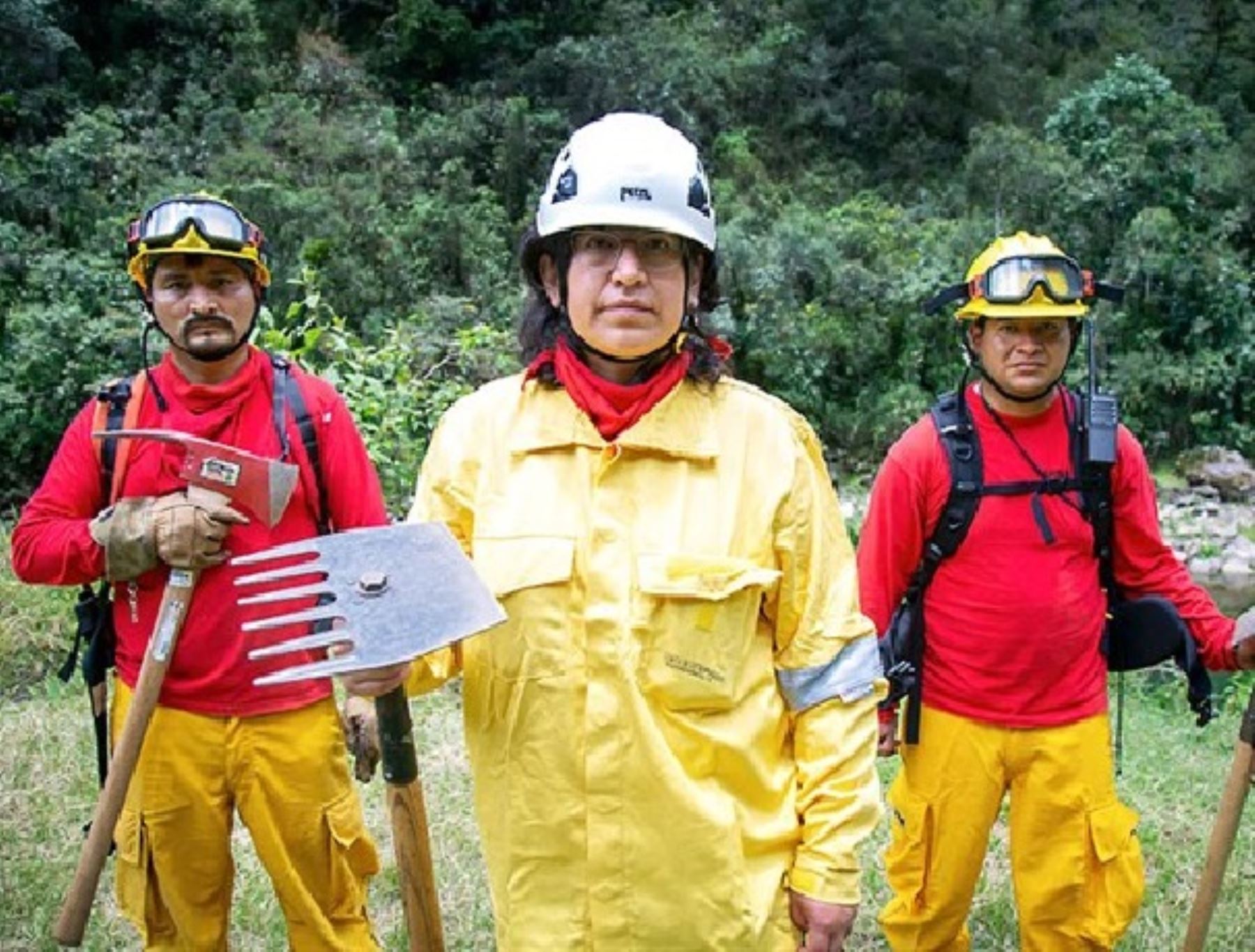 Conoce la sacrificada labor de los bomberos forestales que protegen el Santuariio Histórico de Machu Picchu y sus zonas de amortiguamiento, región Cusco. ANDINA/Difusión