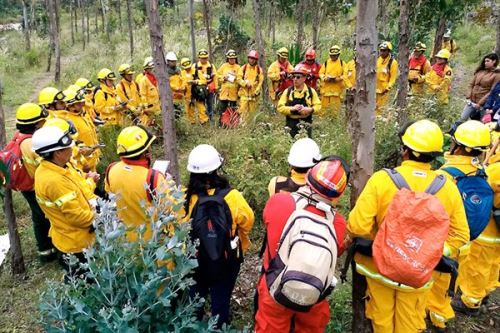 Los bomberos forestales se encuentran en alerta permanente para prevenir incendios forestales en las áreas naturales protegidas. ANDINA/Difusión