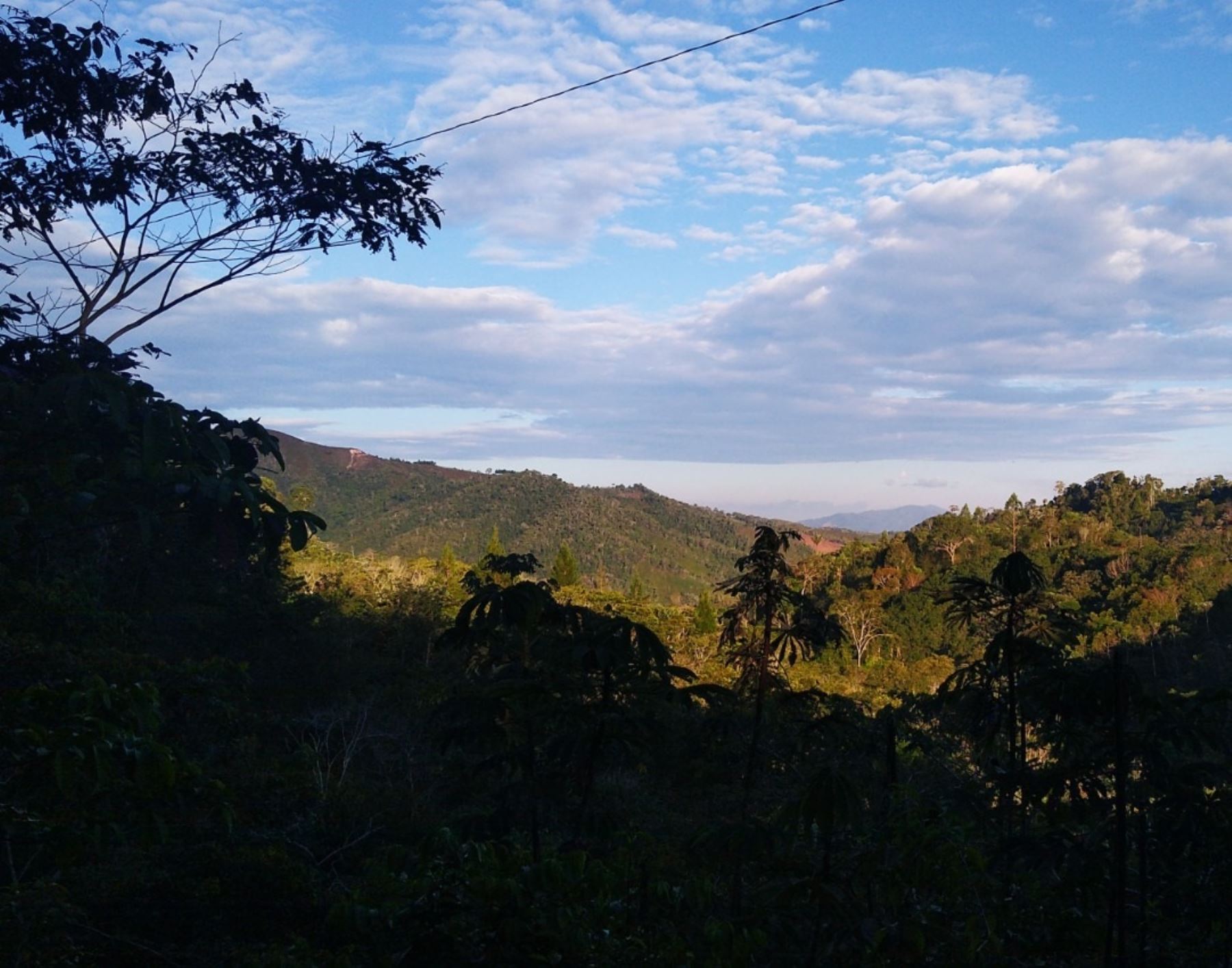 Autoridades municipales de 14 distritos de Junín unen esfuerzos para garantizar la conservación de la Reserva de Biósfera Bosques de Neblina Selva Central reconocida por la Unesco en 2020. Foto: Pedro Tinoco