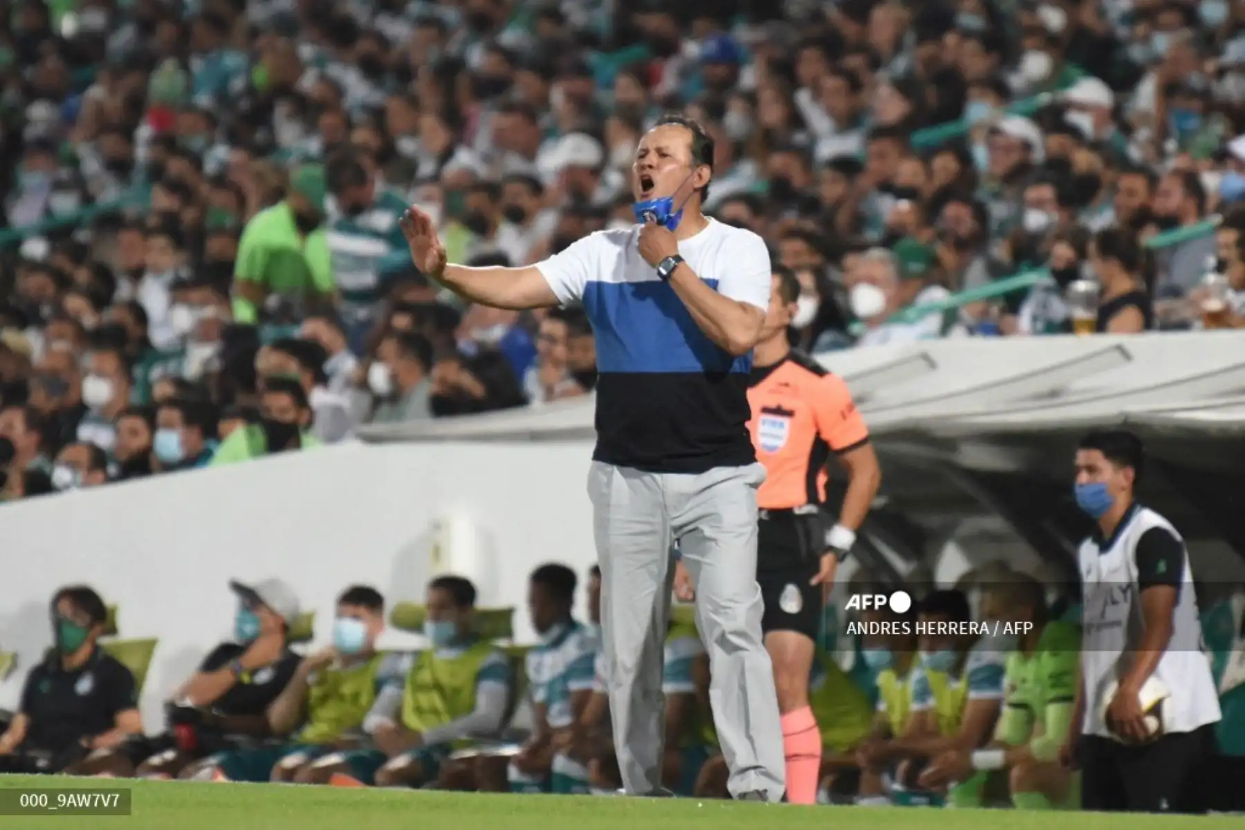 Luego de ser cesado del Puebla a inicios de diciembre de 2020, Reynoso fue anunciado como director técnico del Cruz Azul el pasado 2 de enero, ocho días antes del debut de los celestes en el torneo Guard1anes Clausura-2021. Foto: AFP