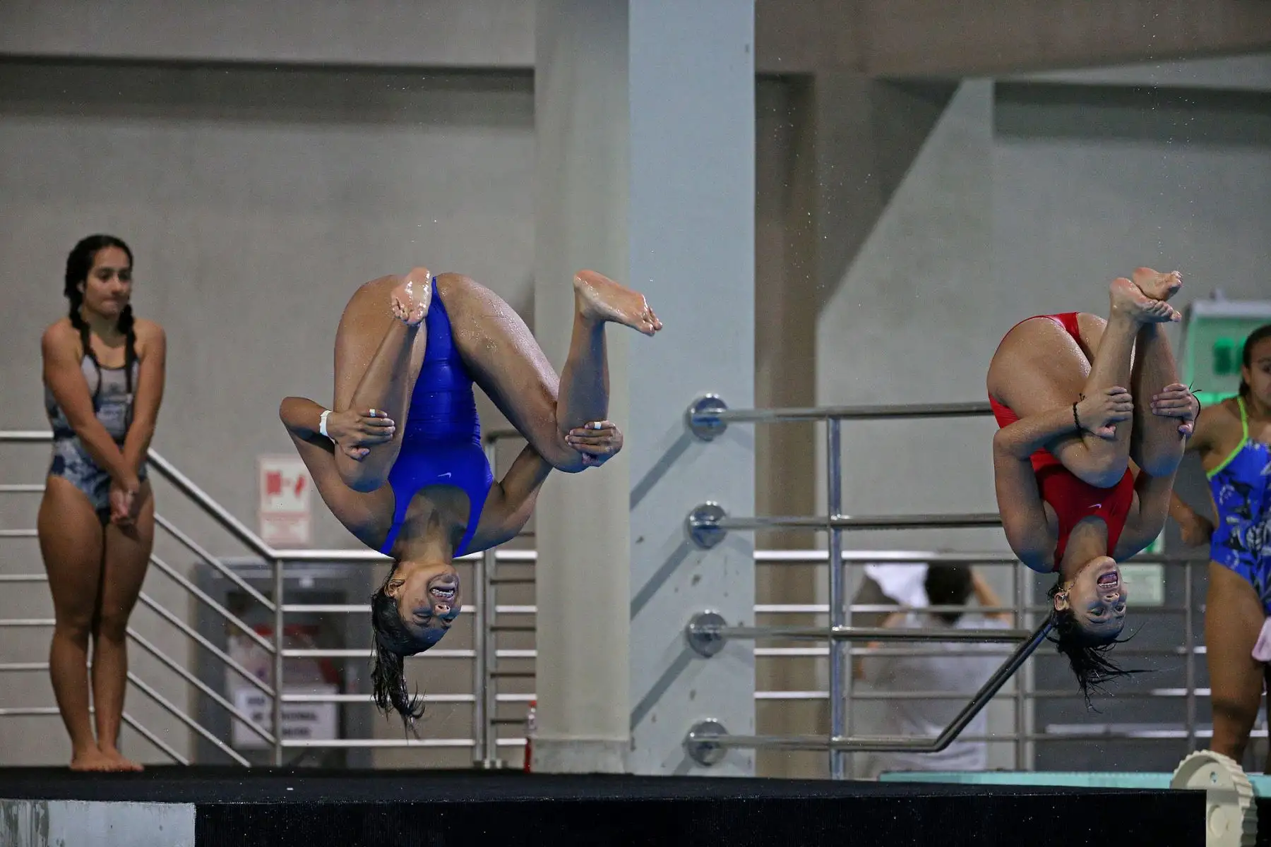 Se dio inicio a las competencias de clavados en el Sudamericano Juvenil de Deportes Acuáticos Perú Bicentenario 2021. Foto: Legado