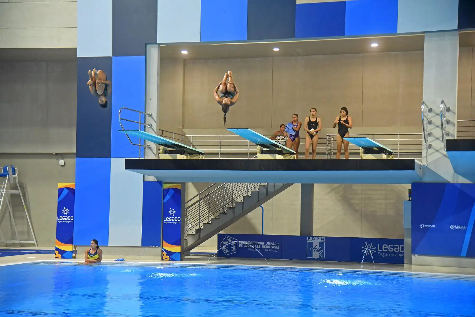 Segundo día de competencias de Clavados en el Sudamericano Juvenil de Deportes Acuáticos Perú Bicentenario 2021 en el Centro Acuático de La Videna. Foto: Legado