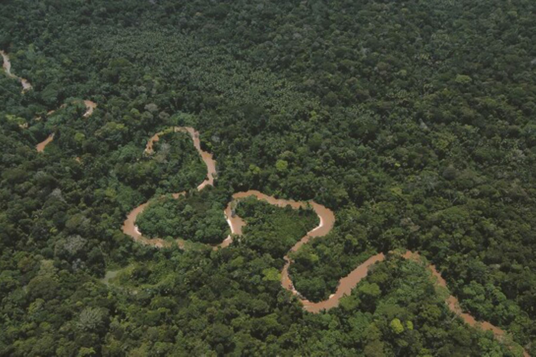 Países destinarán 7,200 millones de dólares para restaurar las tierras degradadas. Foto: ANDINA/Minam
