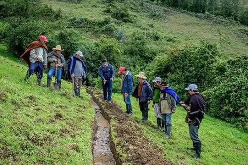 Los ecosistemas altoandinos tienen una importancia crucial para garantizar la provisión de agua en las zonas costeras. Foto: Minam/Difusión.