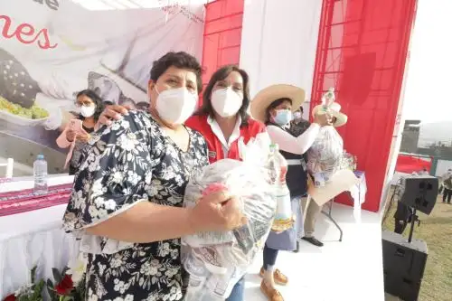 El Ministerio de Desarrollo e Inclusión Social presentó la plataforma Mankachay Perú. Foto: ANDINA/Difusión