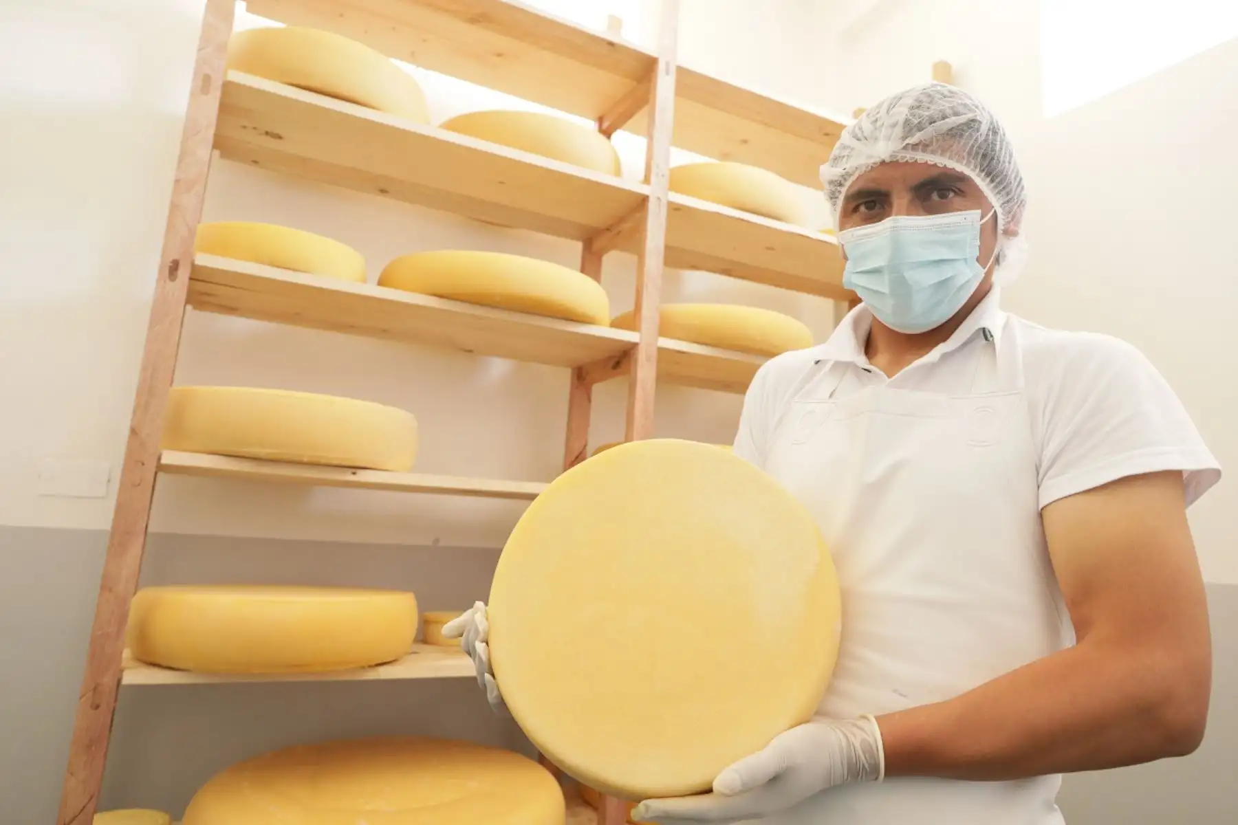 Queso tipo Suizo semimadurado producido por la Asociación de Pequeños Productores Agropecuarios Perla del Paraíso de Otuzco, La Libertad, obtuvo la Medalla de Oro en la “Expo Queijo 2021”, celebrado en Brasil. Foto: Cortesía.