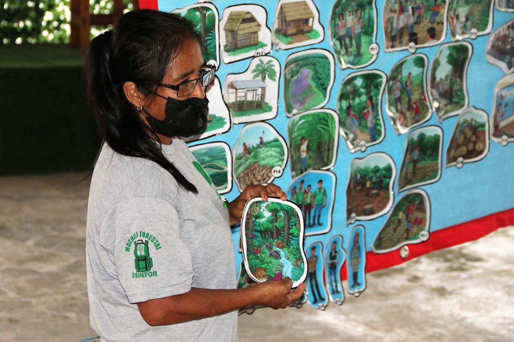La Mochila Forestal promueve la reflexión y el entendimiento de los ciudadanos en torno al manejo sostenible de los bosques.