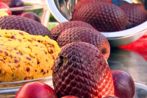 Es necesario investigar la posible función neuroprotectora del camu camu y el aguaje para el consumo humano (Foto: Concytec)