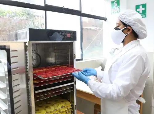Estudiantes de Universidad de Huancavelica crean snack de tuna deshidratada rica en vitaminas y minerales para combatir la desnutrición infantil.