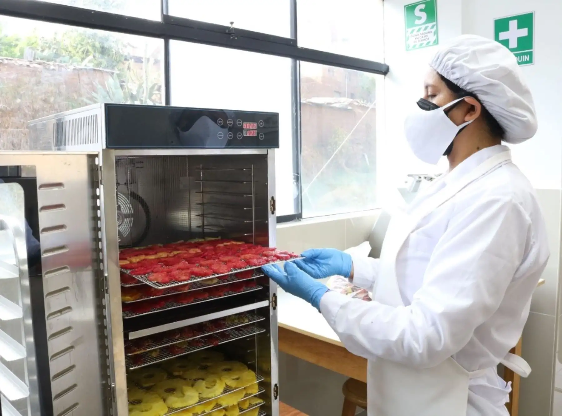 Estudiantes de Universidad de Huancavelica crean snack de tuna deshidratada rica en vitaminas y minerales para combatir la desnutrición infantil.
