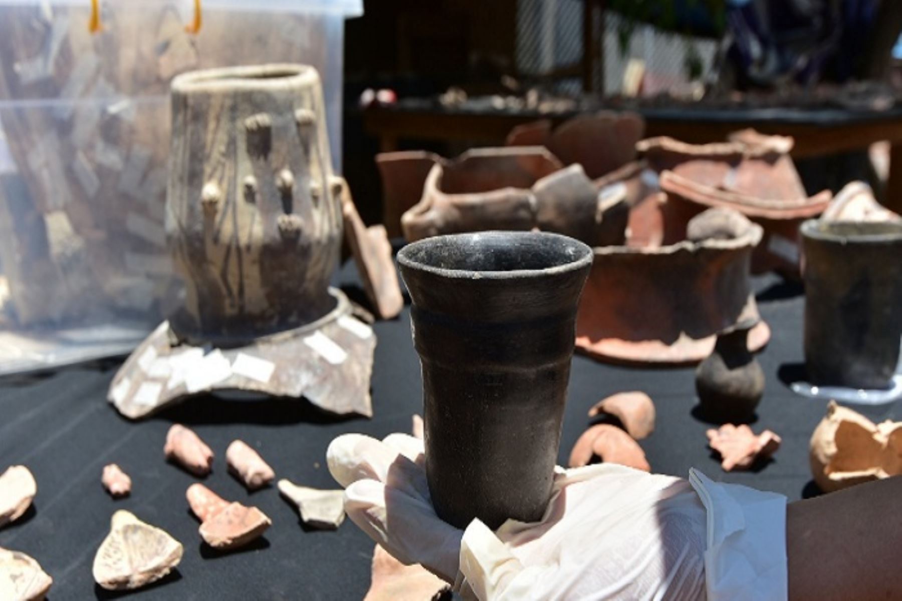 Se halló 200 piezas cerámicas, 60 instrumentos líticos, 13 restos óseos humanos de niños, mujeres y varones de 8 a 40 años de edad, y gran número de restos de animales.